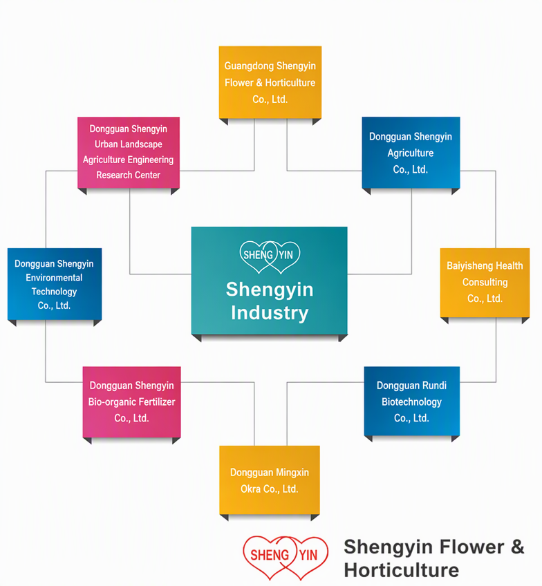 org-chart-en-20261011174155323