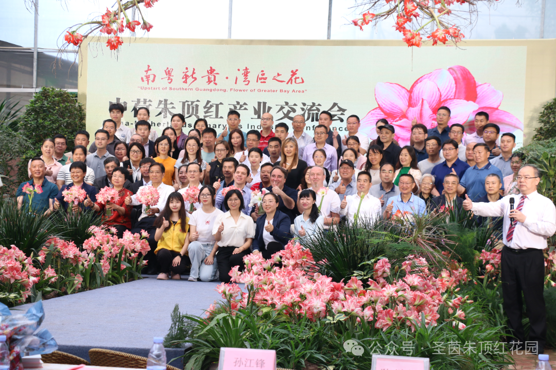图片 34.png
