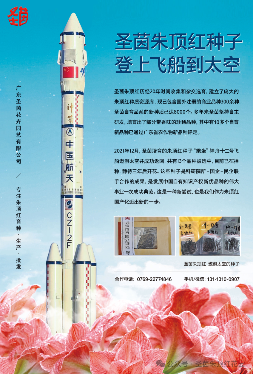 图片 16.png